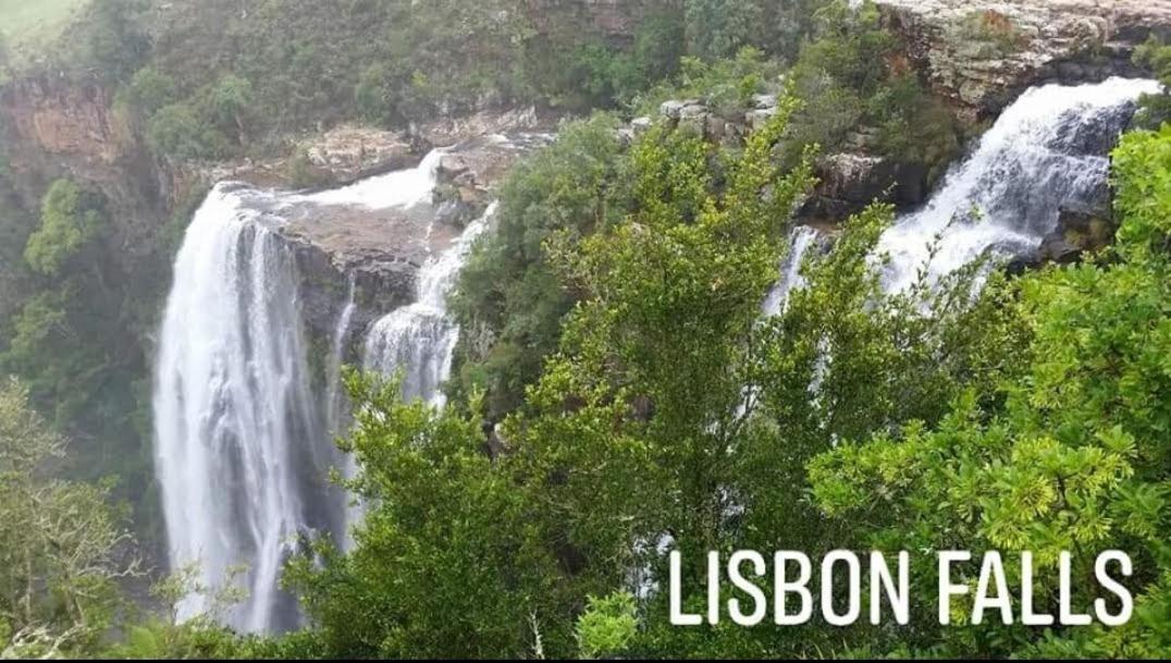 Lisbon Eco Lodge グラスコップ エクステリア 写真